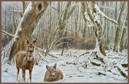 Afbeelding: Reeën in een winters taffereel