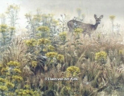 Schilderij: Reegeit in het veld