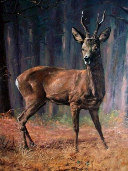 Schilderij: Reebok schitterend, Franz van de Kuil