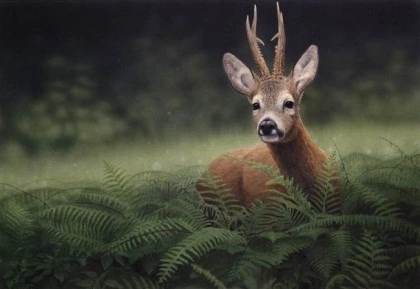 Schilderij: Reebok in de varens, Renso Tamse