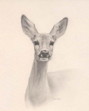 Tekening: Reegeit, Renso Tamse